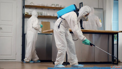 Doorstep Service in 30 Minutes - Pest Control in Mira road S...