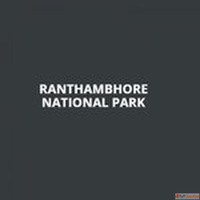 Top Tiger Safari Zones in Ranthambore