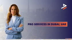 Streamline Your Business Launch with Dubiz PRO Services