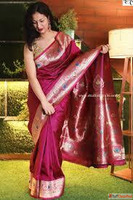 Elegant sarees for every woman