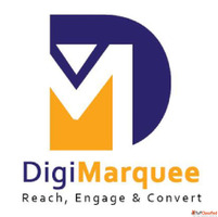 Best Digital Marketing Company in New Delhi - DigiMarquee