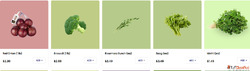 Organic Vegetable Delivery Toronto Synckart