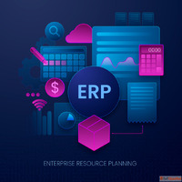 NetSuite ERP Solutions for Smarter Business