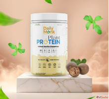 Buy the Best Plant Protein Supplement for a Healthy Lifestyl...