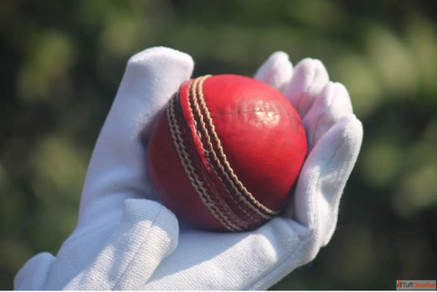Experience Cricket Like Never Before with T20Live Breakthrough Features