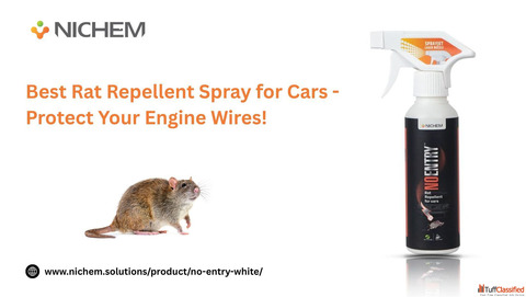 Best Rat Repellent Spray for Cars - Protect Your Engine Wires