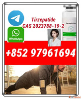 tirzepatide2023788-19-2 tirz 30mg 40mg top quality with whol...
