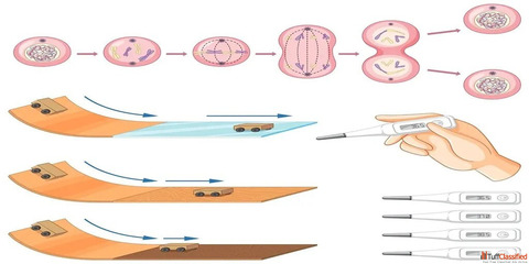 Male fertility and age chart - How to increase sperm count