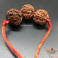 Rudraksha Mala in Haridwar-Your Guide to Authentic Spiritual...