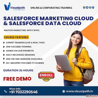 Best Salesforce Marketing Cloud Online Training in India