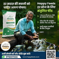 Best Fish Feed Manufacturers in India Happy Feed Company