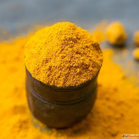 Organic Turmeric Suppliers in Sangli