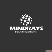 Best Digital Marketing Services in Delhi MindRays Branding E...