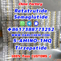 Semaglutide 5-AMINO-1MQ Retatrutide 910463-68-2 China Factor...