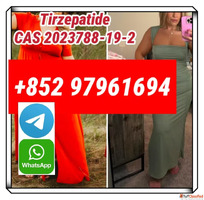 semaglutide910463-68-2 sema30mg top quality with whplesale p...