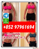 retatrutide2381089-83-2 semaglutide910463-68-2 top quality w...