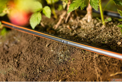 Drip Irrigation Systems for High-Yield Farming in Gujarat