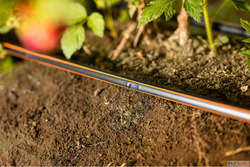 Drip Irrigation Systems for High-Yield Farming in Gujarat
