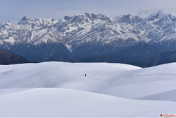 Dayara Bugyal Trek Package