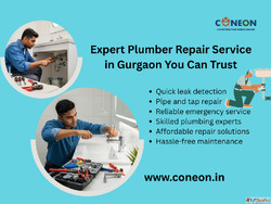 Plumber repair service in Gurgaon