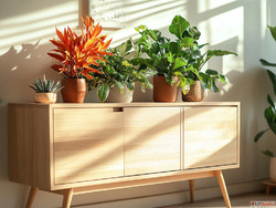 Leading Plywood Manufacturers in Lakhimpur Prime Gold