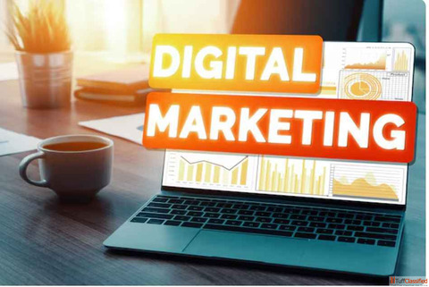 Elevate Your Online Presence with a Digital Marketing Company in Jalandhar