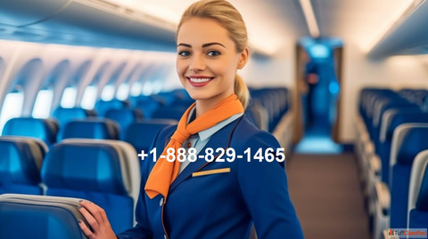 Qantas Refund Policy Easy Claim Support by Experts
