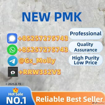 Lab-Grade P.M.K Powde.r 28578-16-7 Reliable Supplier