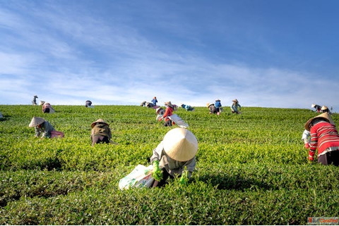 What are Agtech Startups