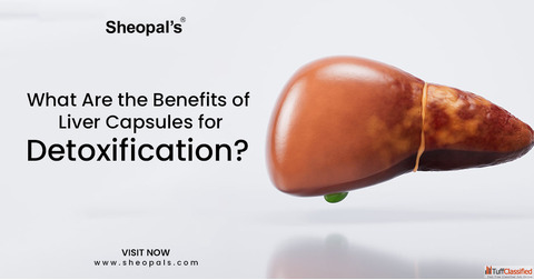 Why You Should Add Liver Capsules to Your Daily Wellness Routine