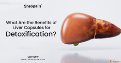 Why You Should Add Liver Capsules to Your Daily Wellness Rou...