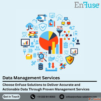 Deliver Accurate Data Through Proven Management Services