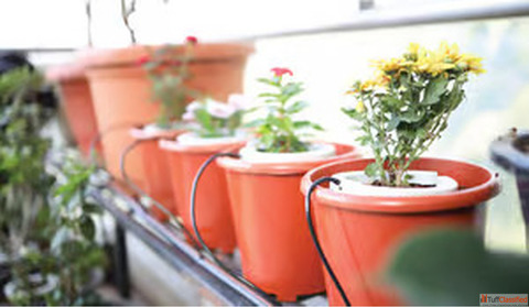 Drip-Based Garden Irrigation Kit for Healthy Plant Growth in Maharashtra