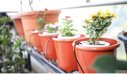 Drip-Based Garden Irrigation Kit for Healthy Plant Growth in...