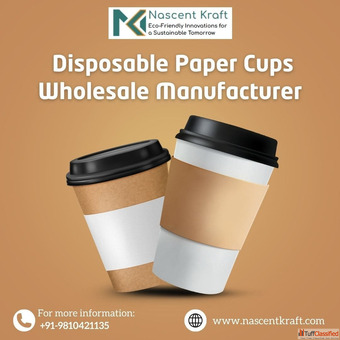 Disposable Paper Cups Wholesale Manufacturer
