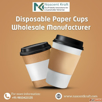 Disposable Paper Cups Wholesale Manufacturer