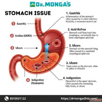 Stomach department doctors in Shastri Nagar