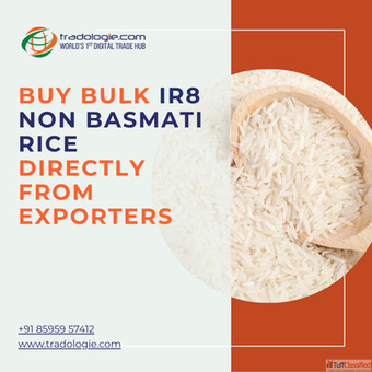 Buy Bulk IR8 Non Basmati Rice Directly From Exporters