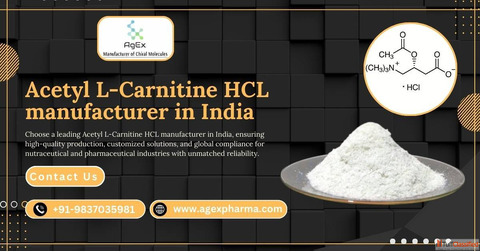 Pharma Quality Acetyl L-Carnitine HCL Manufacturer in India