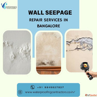 Wall Seepage Repair Services in Bangalore