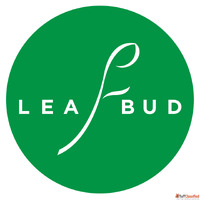 Unique Gifts for Women Under 500 - The Leaf Bud