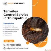 Best Termite Control Service in Tirupattur