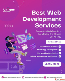 Professional Web Development Company in Delhi Unique Digital Brains