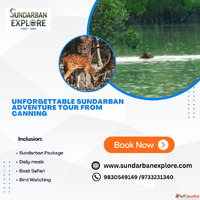 Explore the Best Sundarban Tour Package from Canning