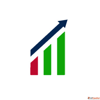 Stock Market Mentor