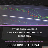 Opt for Swing Stock Trading Advice in India and Examine Corr...