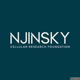 Njinsky Foundation