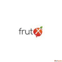 Frut X - The Best Mango Pulp Manufacturer