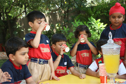Best Play School in Panchkula for Early Learning