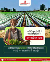 Reliable Agricultural Mulch Suppliers Indore - Brownfield In...